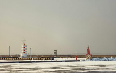 The Reality of B2B Sales in Estonia Today