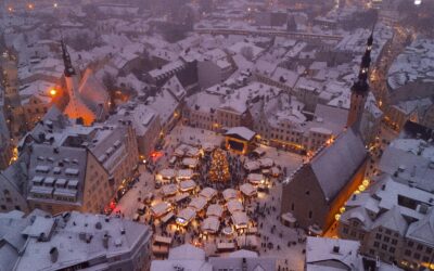 Finding the Right Decision Makers in Estonia